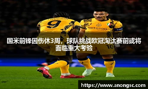 国米前锋因伤休3周，球队挑战欧冠淘汰赛前或将面临重大考验